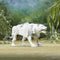 Transformers Rise of the Beasts Arcee & Silverfang - Actiefiguur