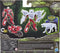 Transformers Rise of the Beasts Arcee & Silverfang - Actiefiguur
