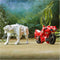 Transformers Rise of the Beasts Arcee & Silverfang - Actiefiguur