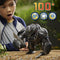 Transformers Rise of the Beasts Command and Convert Animatronic Optimus Primal - Actiefiguur