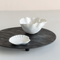 Tray Expressive Black / Mango Wood