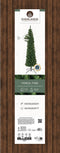 Treb Classic Pencil Pine Kunstkerstboom - 180 cm hoog - Zonder verlichting