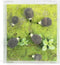 Trendform Dierenmagneten - Egels