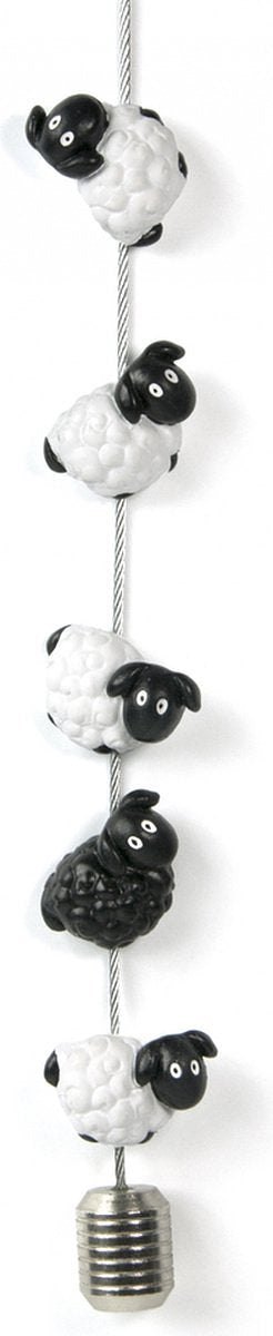 Trendform Foto koord Timi met 8 magneten