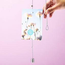 Trendform Fotokabel Met Magneten - Zilver 200 Cm