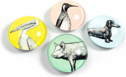 Trendform Magnet Eye - Dieren - set van 4 verschillende