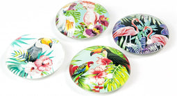 Trendform Magnet Eye - Jungle Bird - set van 4 verschillende