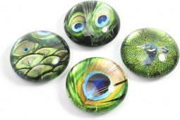 Trendform Magnet Eye - Pauw - set van 4 verschillende