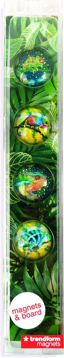 Trendform Verhaaldoos Kameleon Magneten
