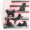 Trendform Zwarte Kat Magneten (set Van 5)