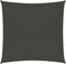 vidaXL - Zonnezeil - 160 - g/m² - 7x7 - m - HDPE - antracietkleurig