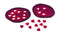 Triangle Essential Confetti Uitstekerset - Hart & Bloem - Rood - 2-delig