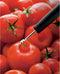 Triangle Professionele Tomatenontkroner - RVS - 25 mm - Vaatwasmachinebestendig