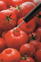 Triangle Professionele Tomatenontkroner - RVS - 25 mm - Vaatwasmachinebestendig