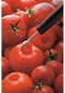 Triangle Spirit Tomatenontkroner - Kunststof & RVS - Vaatwasserbestendig