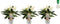 Trio Anthurium