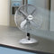 Tristar VE-5953 Tafelventilator Chroom - Diameter 30 cm - Drie snelheden