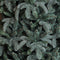 Triumph Tree Abies Nordmann Deluxe Kunstkerstboom 215 x 155 cm - Forest blue