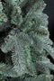 Triumph Tree Abies Nordmann Deluxe Kunstkerstboom 215 x 155 cm - Forest blue