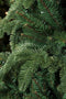 Triumph Tree Abies Nordmann Kerstkrans - Ø60 cm - Groen