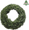 Triumph Tree Abies Nordmann Kerstkrans - Ø60 cm - Groen