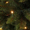 Triumph Tree Bristlecone Fir Kunstkerstboom 155x99 cm - 144 LED