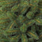 Triumph Tree Bristlecone Kunstkerstboom - H185 x Ø119 cm - Groen