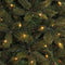 Triumph Tree Bristlecone Kunstkerstboom met LED Verlichting - H155 x Ø99 cm - Donkergroen