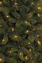 Triumph Tree Bristlecone Kunstkerstboom met LED Verlichting - H215 x Ø127 cm - Donkergroen