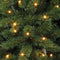 Triumph Tree Bristlecone Kunstkerstboom met LED Verlichting - H215 x Ø127 cm - Donkergroen