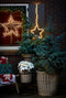 Triumph Tree Colorado Guirlande - L270 cm - Frosted Green