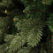 Triumph Tree - Emerald kerstboom hoogte 230 cm