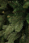 Triumph Tree - Emerald kerstboom hoogte 230 cm