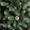 Triumph Tree - Empress kerstboom groen frosted TIPS 1024 - h215xd119cm- Kerstbomen