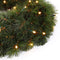 Triumph Tree Forest Frosted Christmas Wreath with LED lights - Ø45 cm - Green