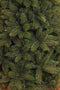 Triumph Tree Forest Frosted Guirlande - L180 cm - Groen