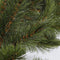 Triumph Tree Forest Frosted Guirlande - L270 cm - Groen