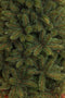 Triumph Tree Forest Frosted Kunstkerstboom - H230 cm x Ø157 - Groen
