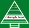 Triumph Tree krans colorado maat in cm: 90 groen
