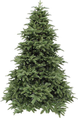 Triumph Tree kunstkerstboom deluxe abies nordmann maat in cm: 215 x 155 donkergroen - DONKERGROEN