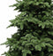 Triumph Tree kunstkerstboom deluxe abies nordmann maat in cm: 215 x 155 donkergroen - DONKERGROEN