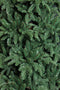 Triumph Tree kunstkerstboom deluxe abies nordmann maat in cm: 215 x 155 donkergroen - DONKERGROEN