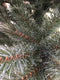 Triumph Tree - Kunstkerstboom Forest Frosted Slim - Blauw - 230cm