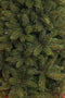Triumph Tree - Kunstkerstboom - Forest Frosted Slim - Groen - 230cm
