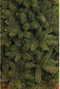 Triumph Tree - Kunstkerstboom - Forest Frosted Slim - Groen - 230cm