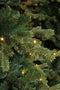 Triumph Tree kunstkerstboom led sherwood spruce deluxe maat in cm: 230 x 142 336led groen - GROEN