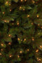 Triumph Tree Kunstkerstboom Wyoming - 165x165x230 cm - Pvc/hardnaald - Groen