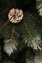 Triumph Tree - Pittsburgh kerstboom dennenappel groen TIPS 812 - h215xd117cm- Kerstbomen