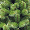 Triumph Tree - Rochdale kerstboom groen TIPS 984 - h230xd140cm - Kerstbomen (Franse boom )