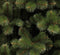 Triumph Tree - Rochdale kerstboom groen TIPS 984 - h230xd140cm - Kerstbomen (Franse boom )